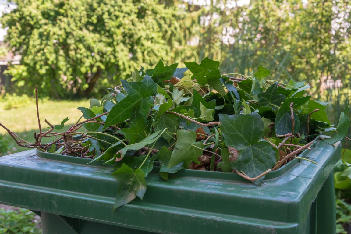 Green Waste Recycling – Green Santa Clarita